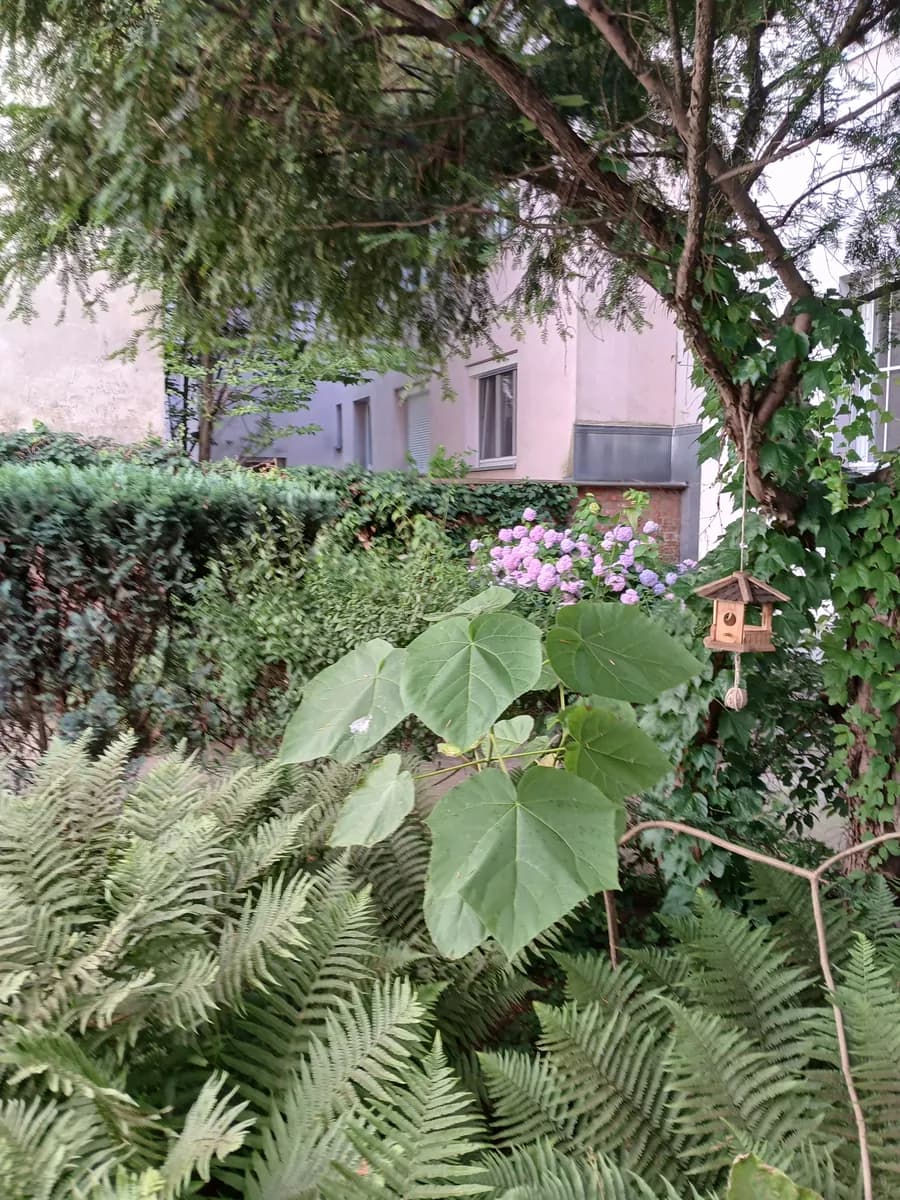 3-Zimmer-Wohnung kaufen in Wien – 67 m², € 327.000 – Bild 22 von 24