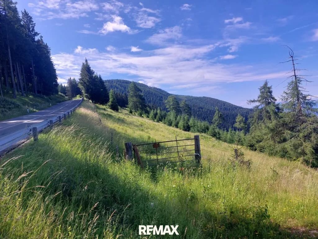 Immobilie kaufen in Wolfsberg – 47 224 m², € 1.300.000 – Bild 4 von 18