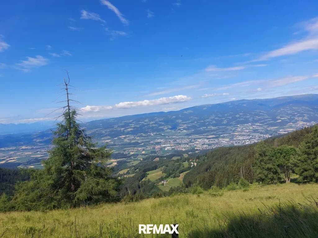 Immobilie kaufen in Wolfsberg – 47 224 m², € 1.300.000 – Bild 5 von 18