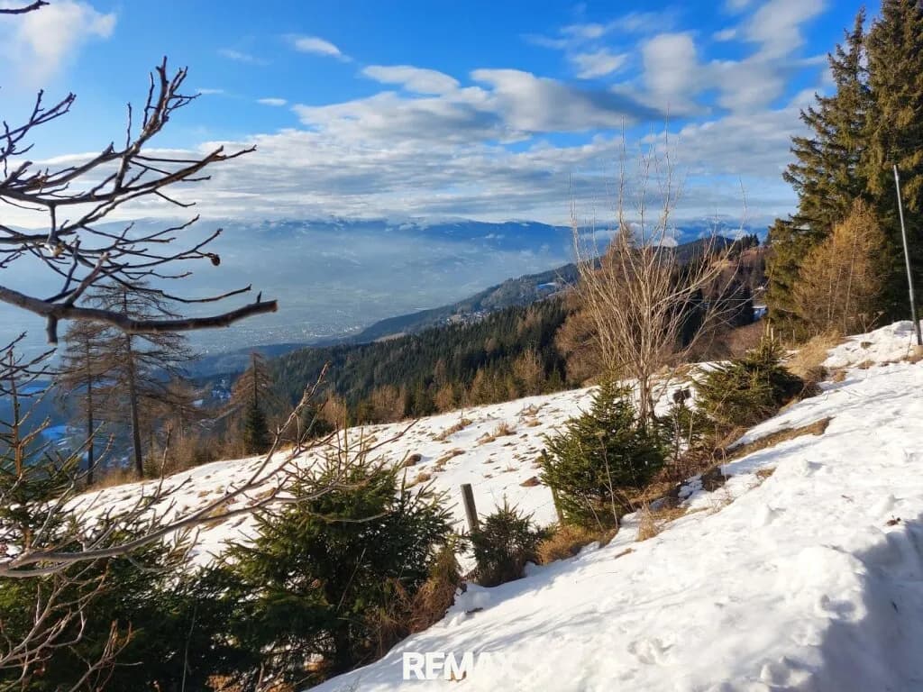 Immobilie kaufen in Wolfsberg – 47 224 m², € 1.300.000 – Bild 7 von 18