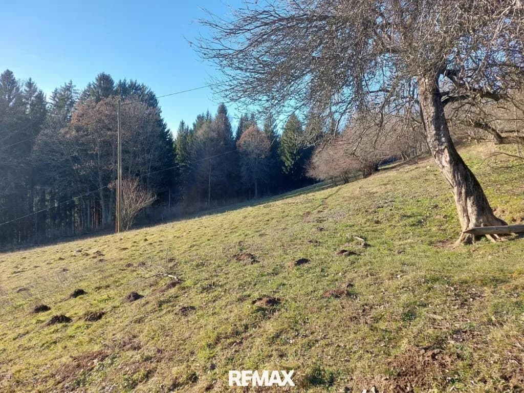 Grundstück kaufen in Villach Land – 5 294 m², € 370.580 – Bild 5 von 7