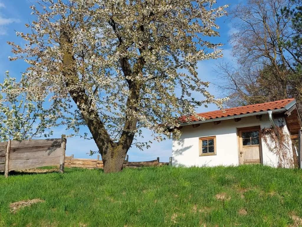 3-Zimmer-Haus kaufen in Korneuburg – 126 m², € 699.000 – Bild 16 von 28