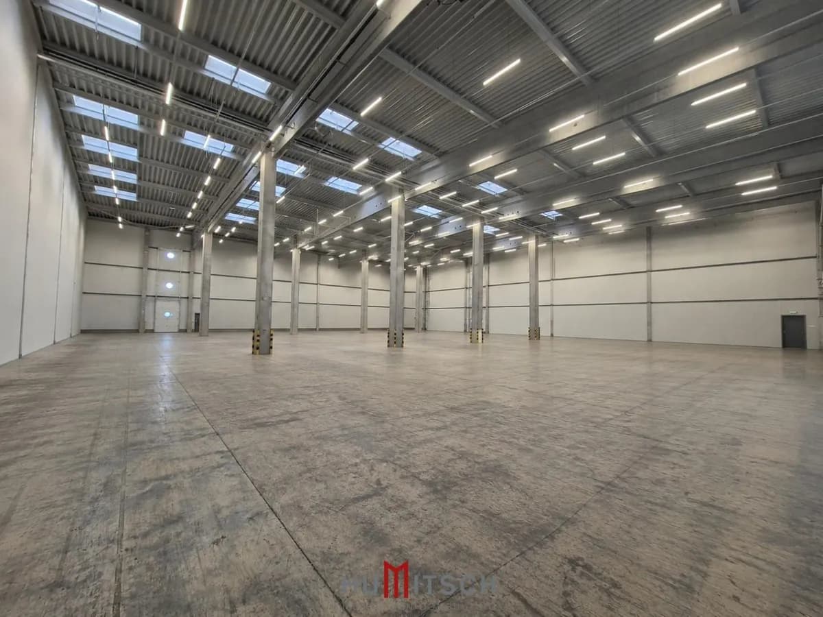 Gewerbeimmobilie mieten in Graz-Umgebung – 1 000 m² – Bild 3 von 3
