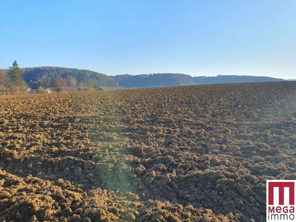 Grundstück kaufen in Weiz – 8 000 m², € 640.000 – Bild 2 von 5