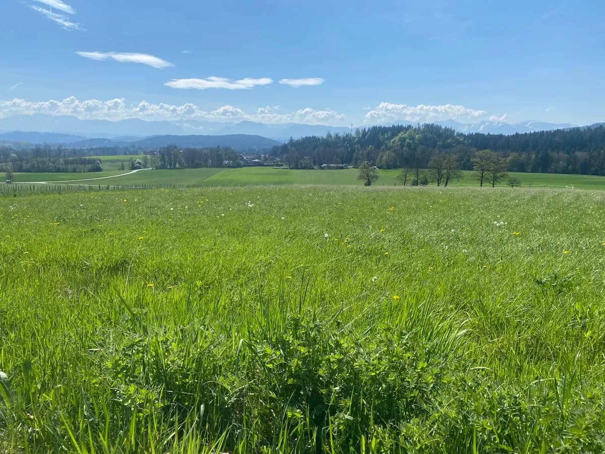 Grundstück kaufen in Feldkirchen – 980 m²