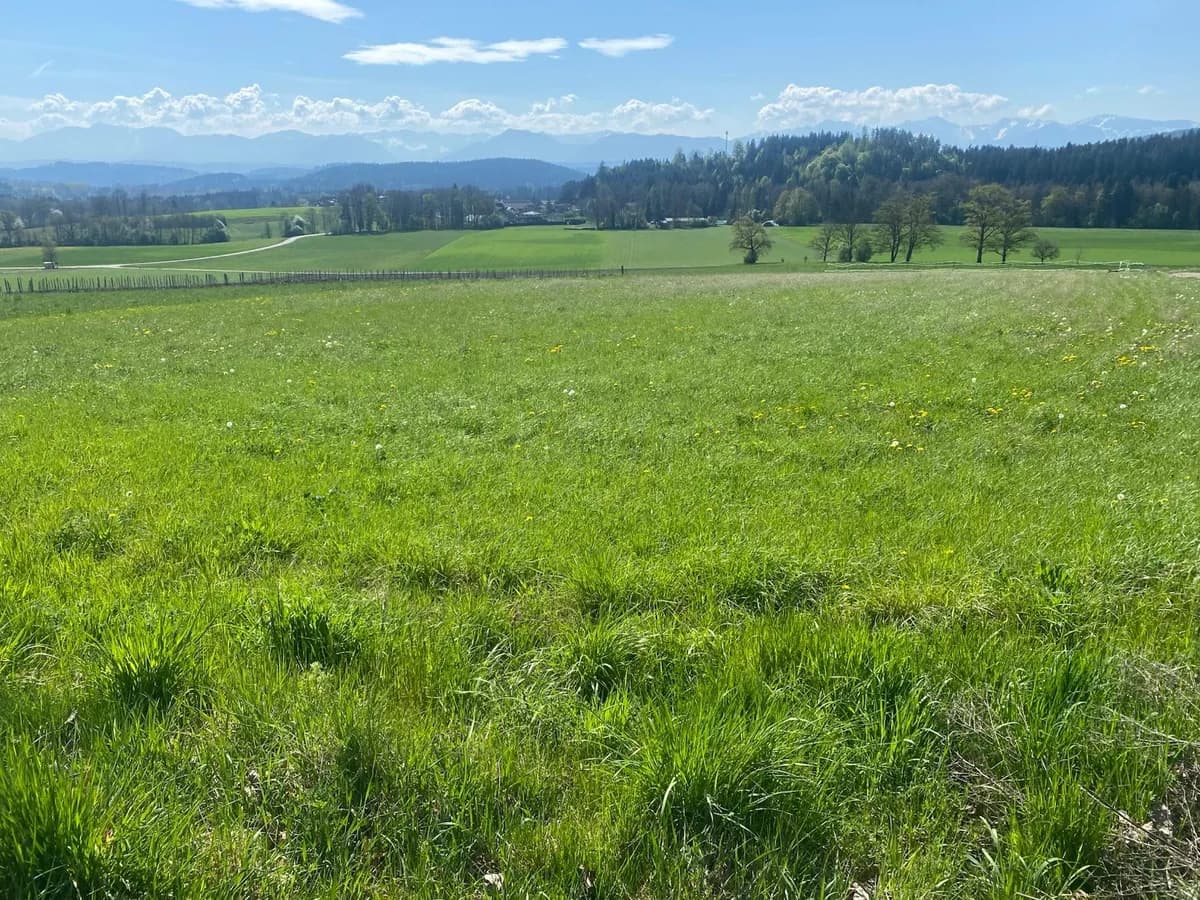 Grundstück kaufen in Feldkirchen – 980 m² – Bild 3 von 5