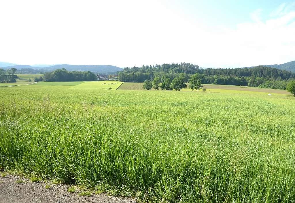 Grundstück kaufen in Feldkirchen – 980 m² – Bild 4 von 5