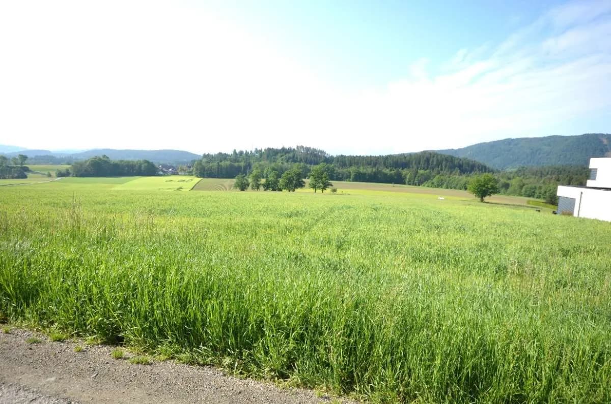 Grundstück kaufen in Feldkirchen – 980 m² – Bild 5 von 5