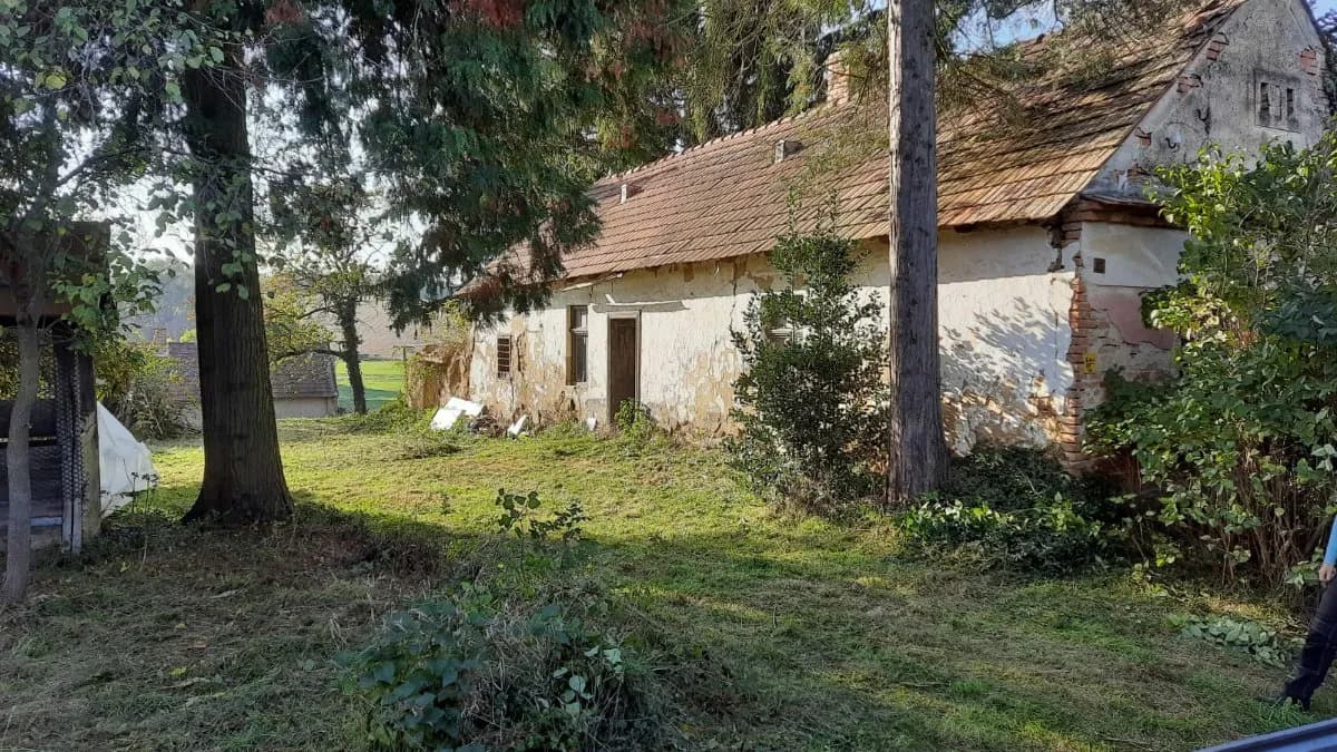 Grundstück kaufen in Österreich – 3 200 m², € 11.000 – Bild 3 von 3