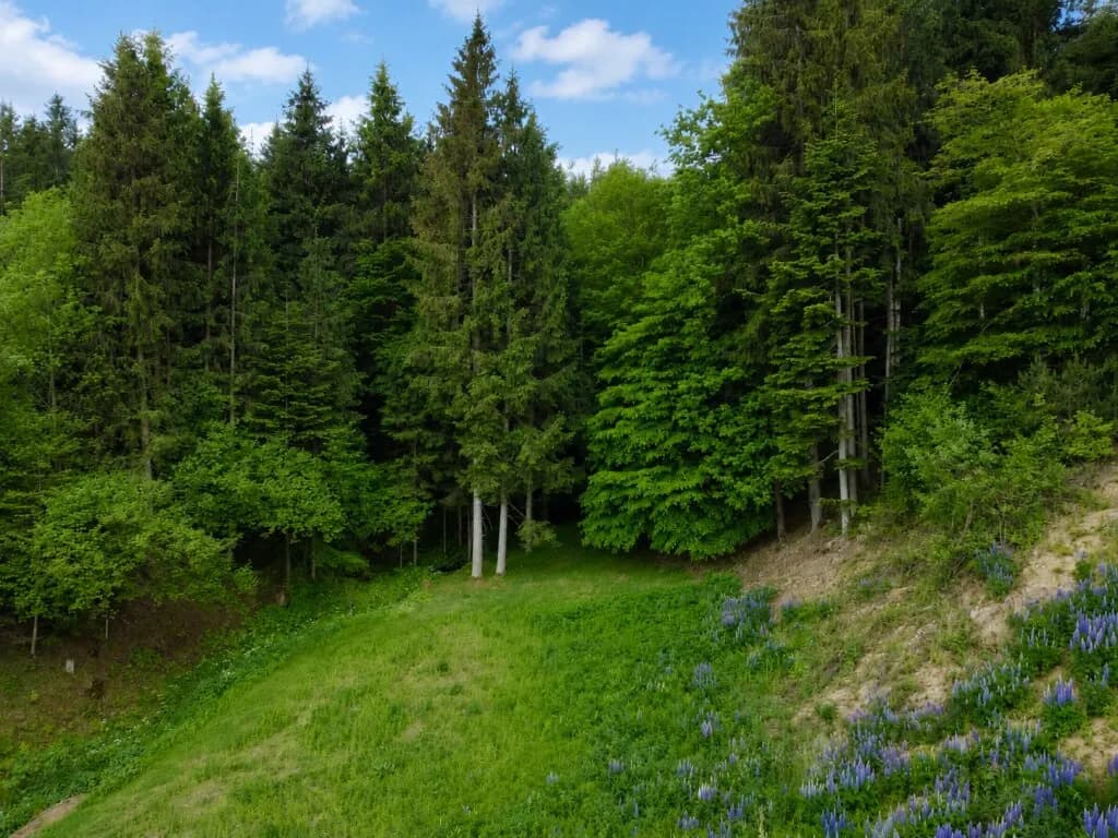 Grundstück kaufen in Klagenfurt Land – 2 069 m², € 320.000 – Bild 3 von 6