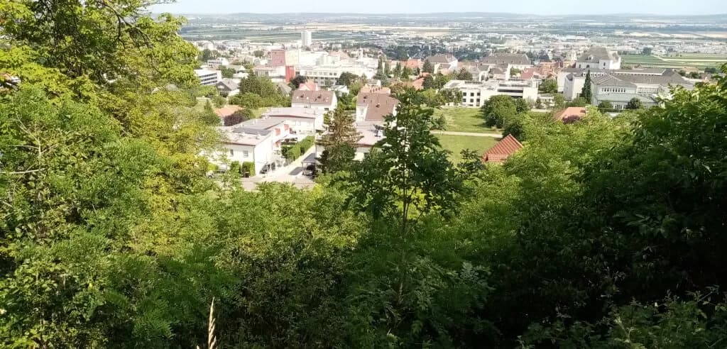 Grundstück kaufen in Eisenstadt – 3 216 m², € 1.195.000 – Bild 2 von 6
