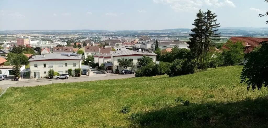 Grundstück kaufen in Eisenstadt – 3 216 m², € 1.195.000 – Bild 3 von 6