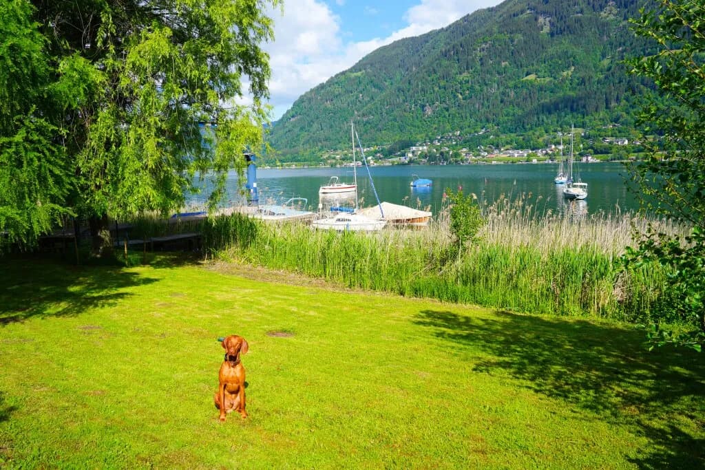 Grundstück kaufen in Villach – 563 m², € 2.000.000