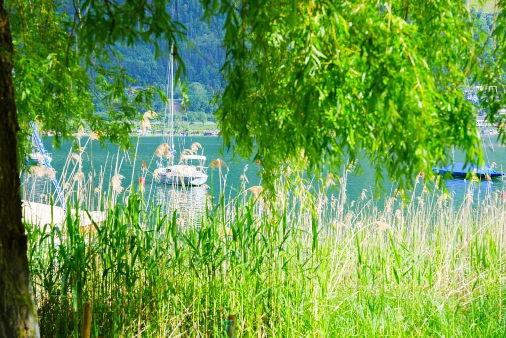 Grundstück kaufen in Villach – 563 m², € 2.000.000 – Bild 4 von 12
