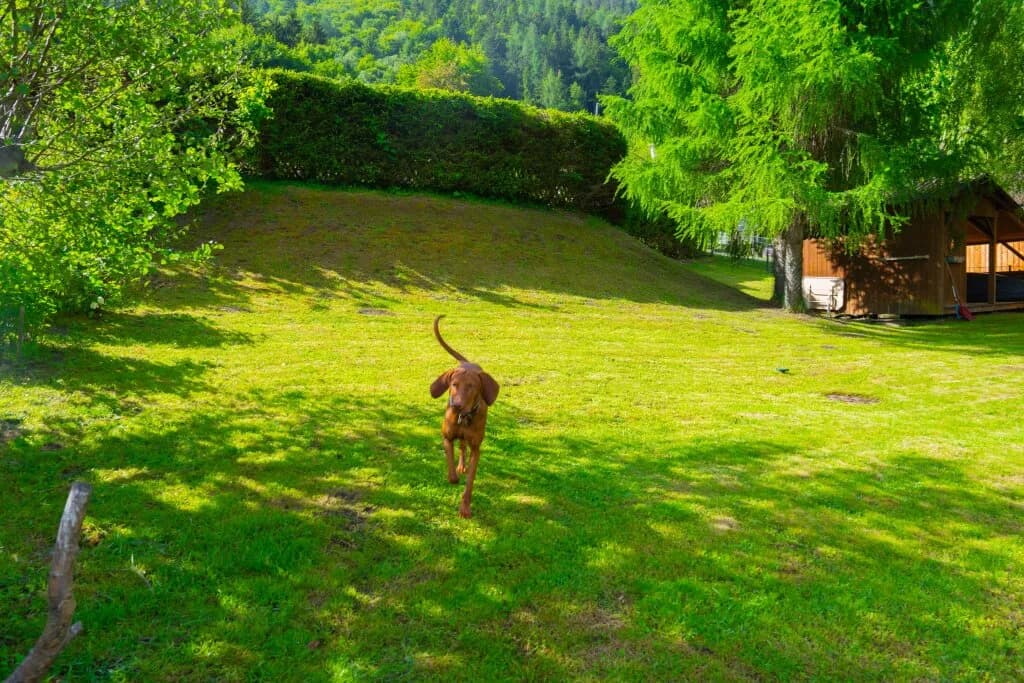 Grundstück kaufen in Villach – 563 m², € 2.000.000 – Bild 6 von 12