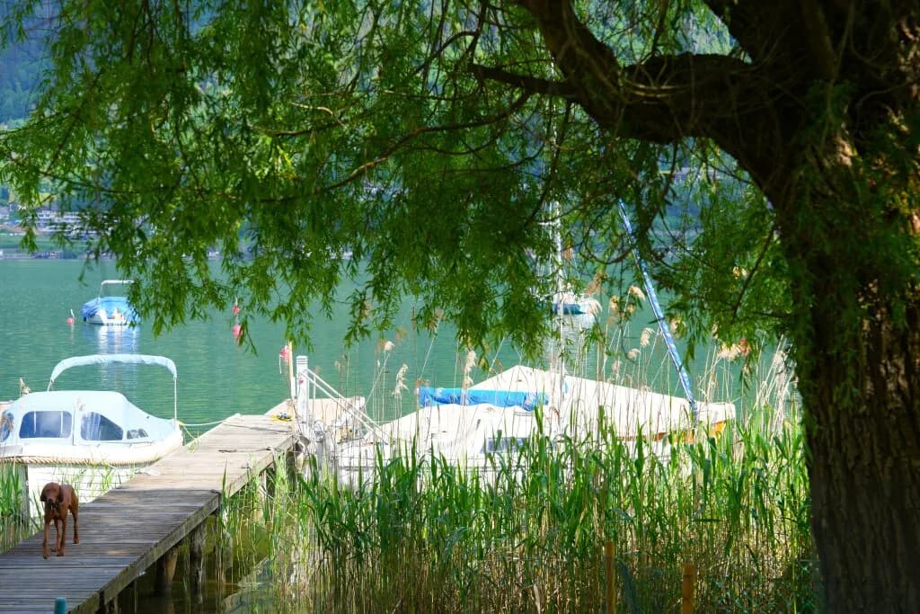 Grundstück kaufen in Villach – 563 m², € 2.000.000 – Bild 9 von 12