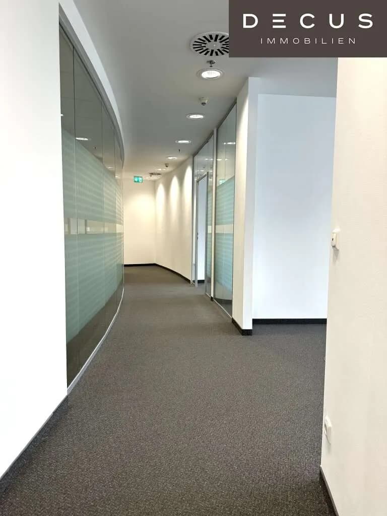 Gewerbeimmobilie mieten in Wien – 335 m², € 13 – Bild 8 von 19