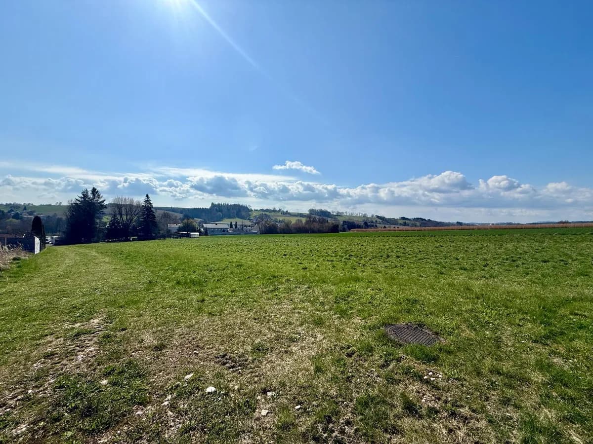 Grundstück kaufen in Grieskirchen – 6 691 m² – Bild 4 von 11