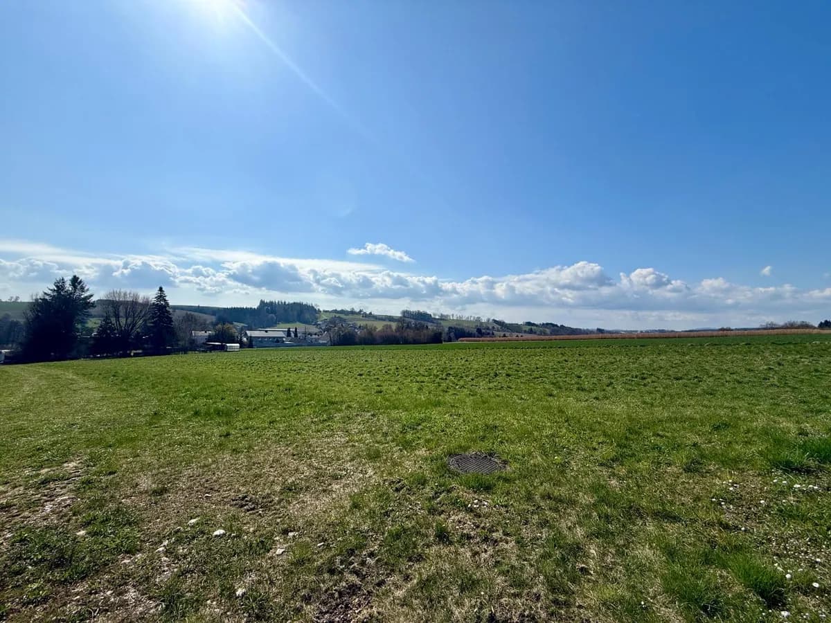 Grundstück kaufen in Grieskirchen – 6 691 m² – Bild 5 von 11