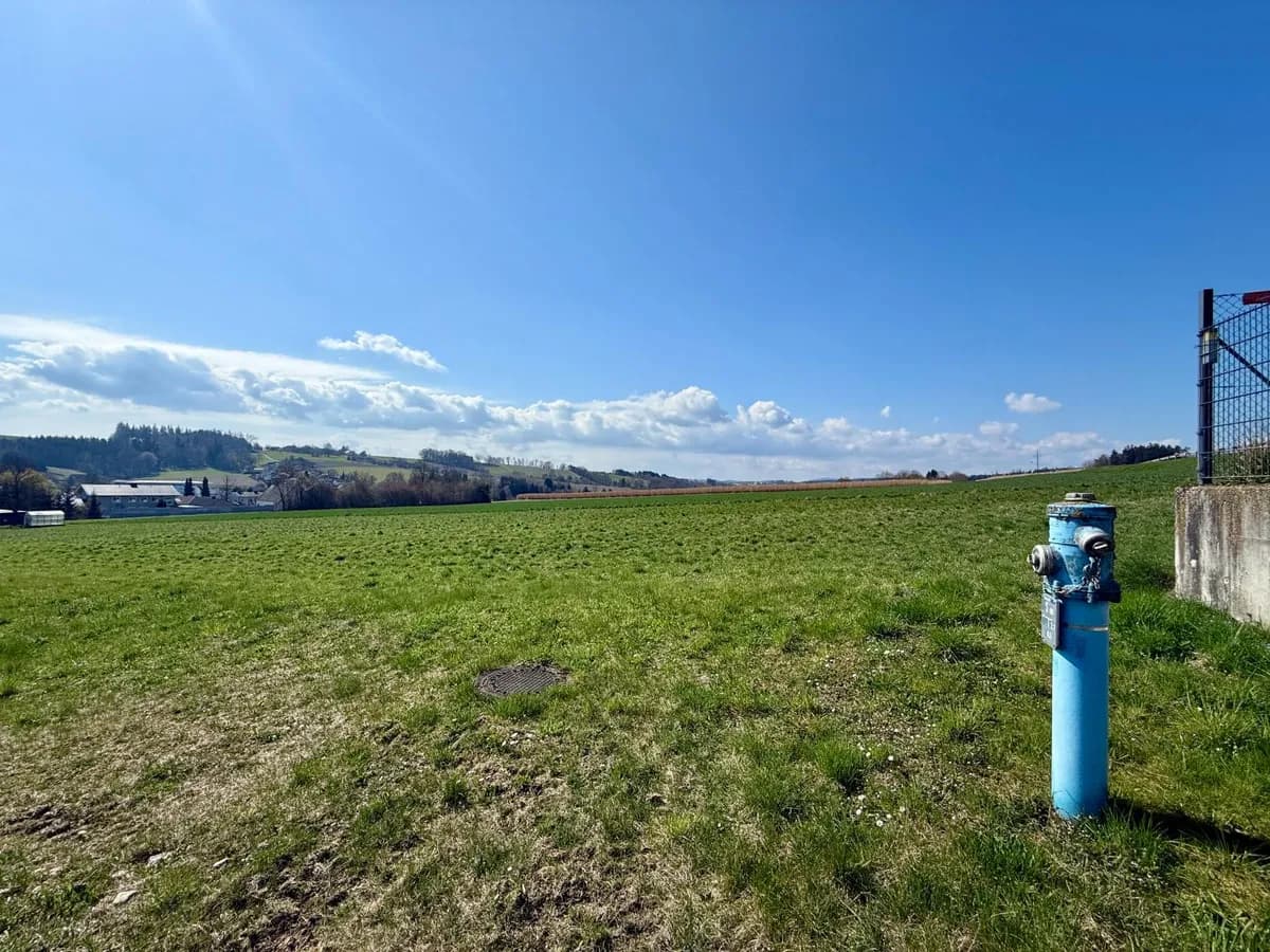 Grundstück kaufen in Grieskirchen – 6 691 m² – Bild 7 von 11
