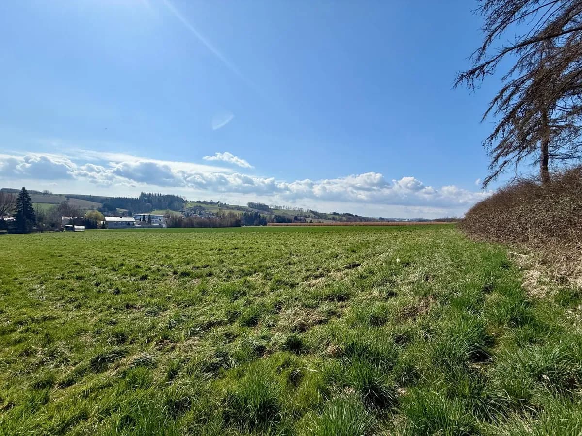 Grundstück kaufen in Grieskirchen – 6 691 m² – Bild 8 von 11