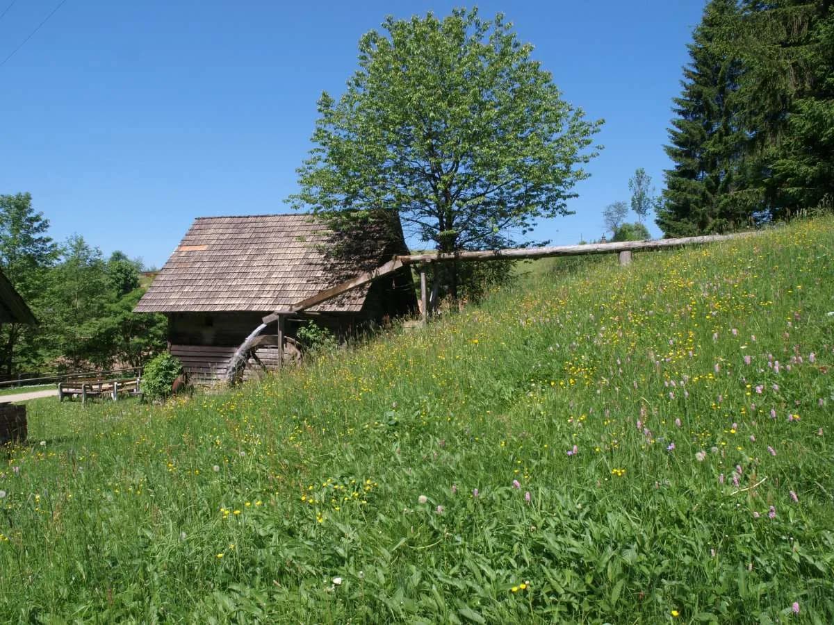 2-Zimmer-Wohnung mieten in Weiz – 64 m², € 549 – Bild 17 von 22