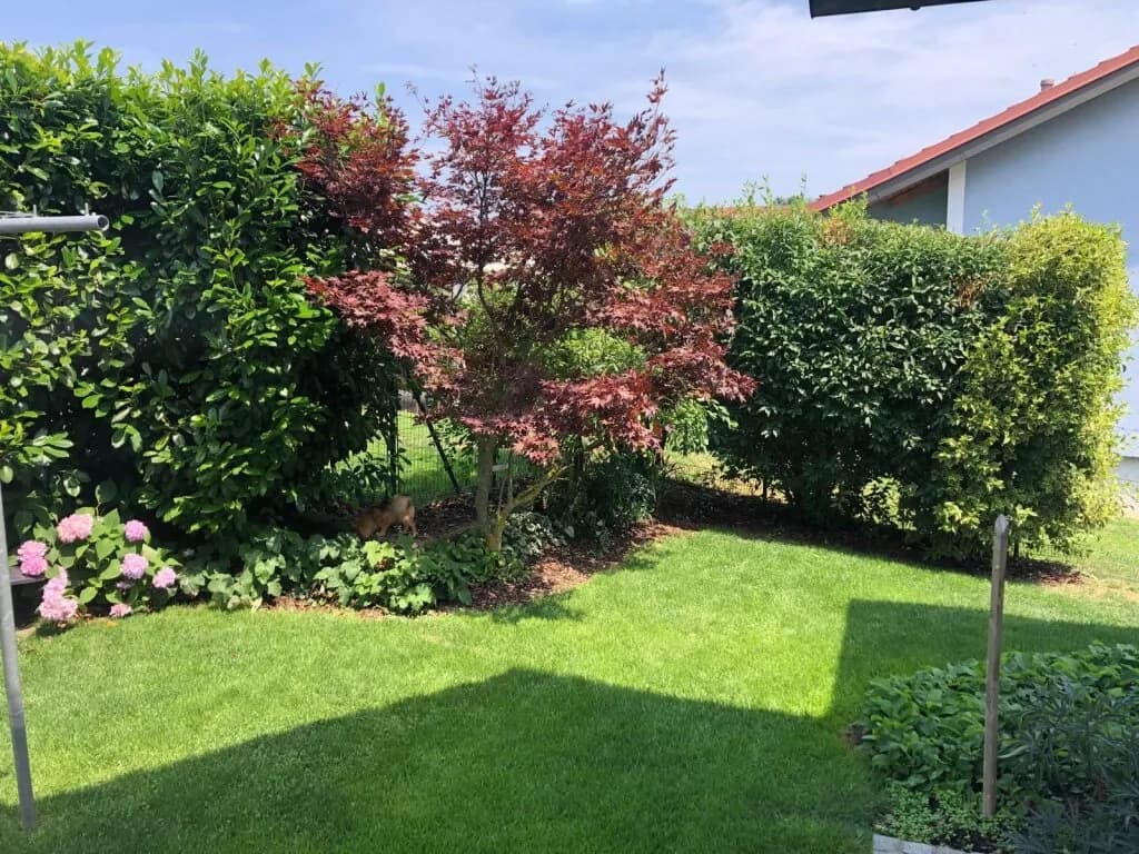 4-Zimmer-Haus kaufen in Weiz – 146 m², € 580.000 – Bild 20 von 24