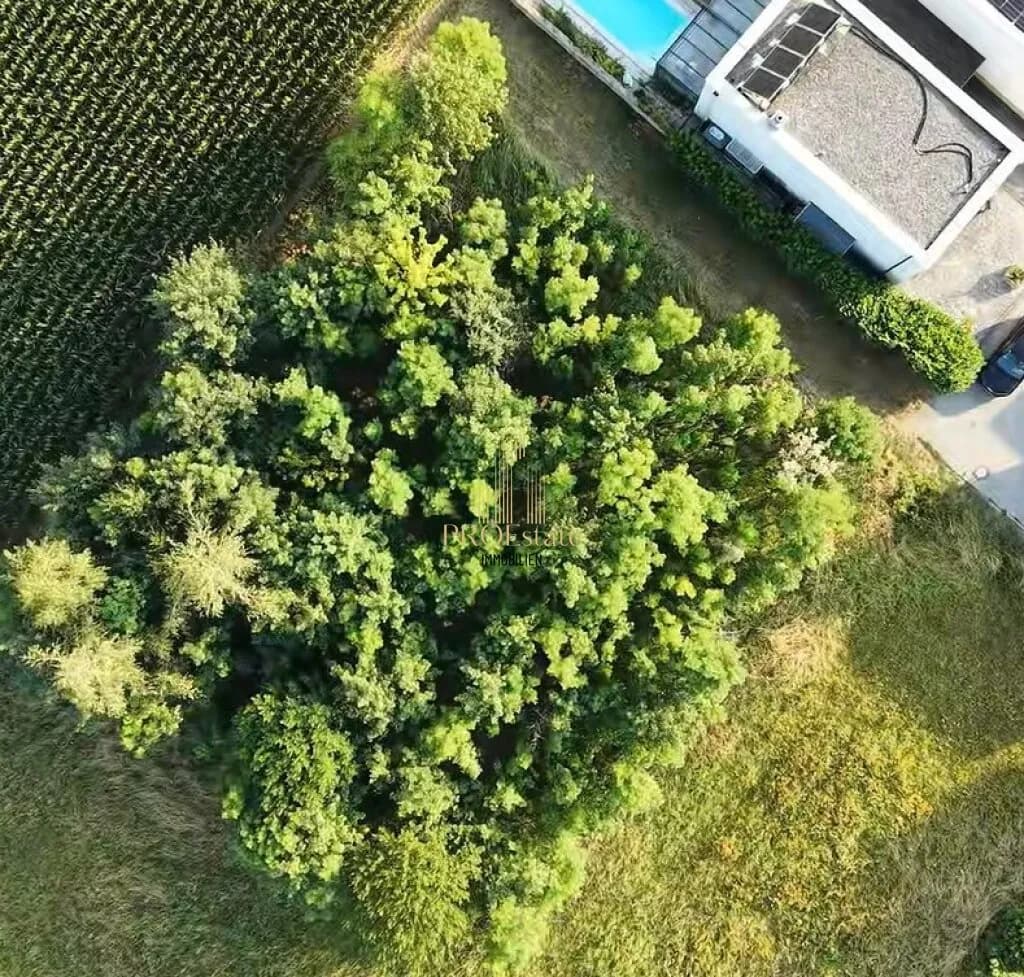 Immobilie kaufen in Wels-Land – 1 074 m², € 429.000 – Bild 2 von 12