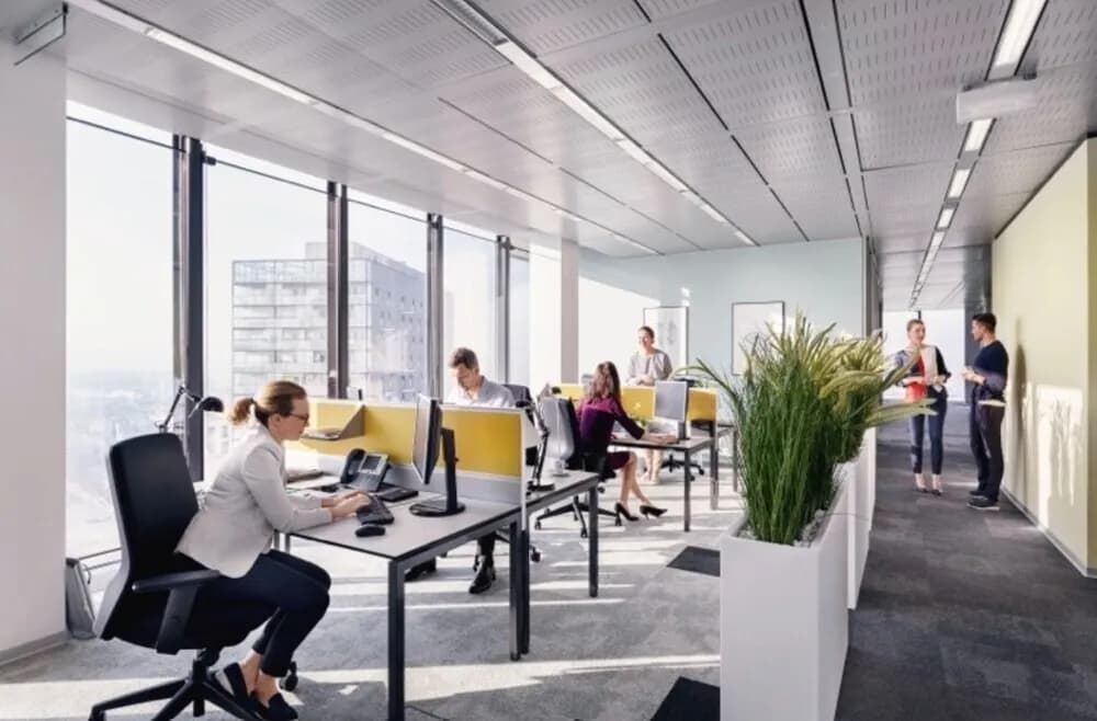 Gewerbeimmobilie mieten in Wien – 219 m², € 15 – Bild 4 von 5