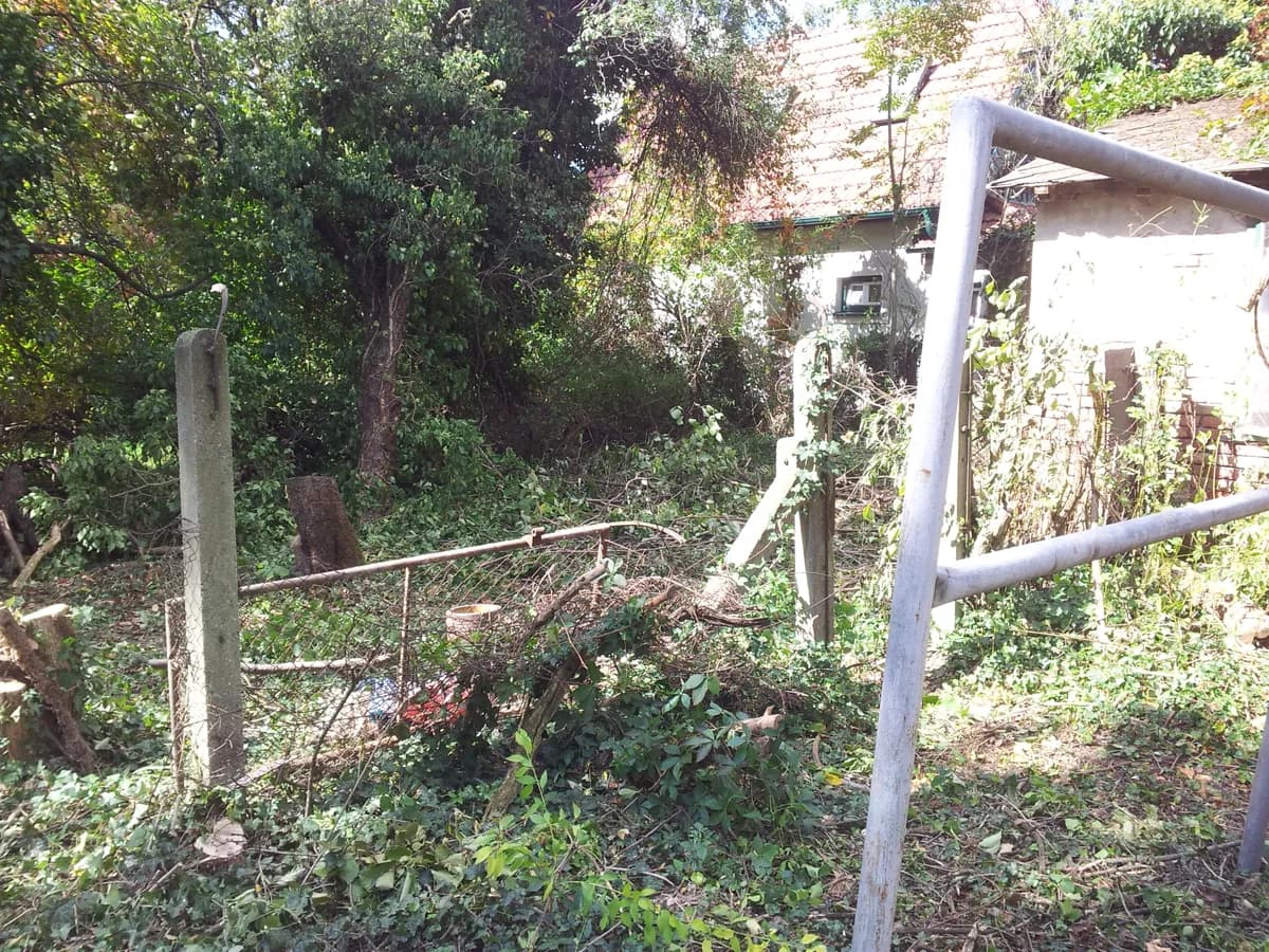 Grundstück kaufen in Wiener Neustadt Land – 1 m², € 270.000 – Bild 3 von 7