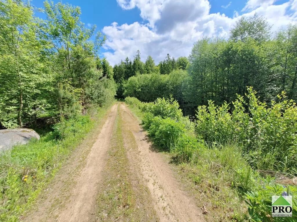 Grundstück kaufen in Gmünd – 251 286 m² – Bild 2 von 12