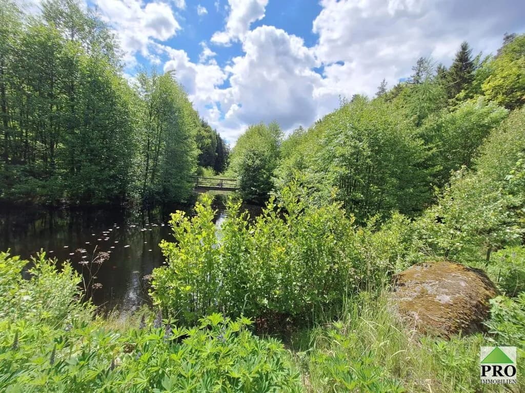 Grundstück kaufen in Gmünd – 251 286 m² – Bild 3 von 12
