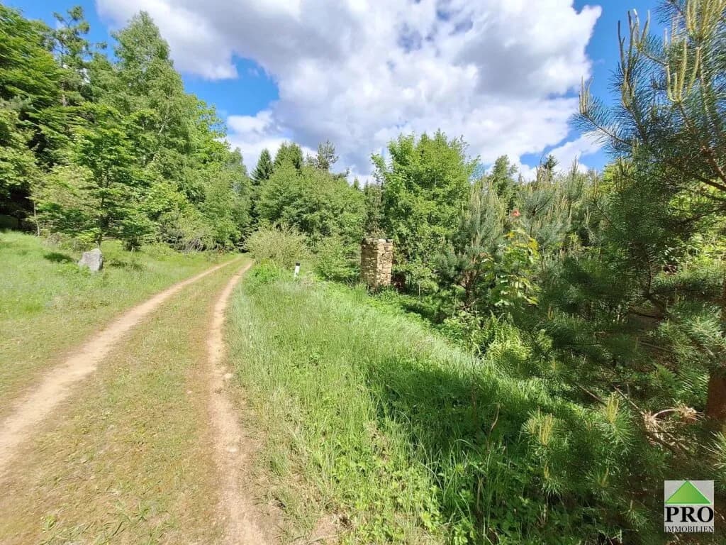 Grundstück kaufen in Gmünd – 251 286 m² – Bild 5 von 12
