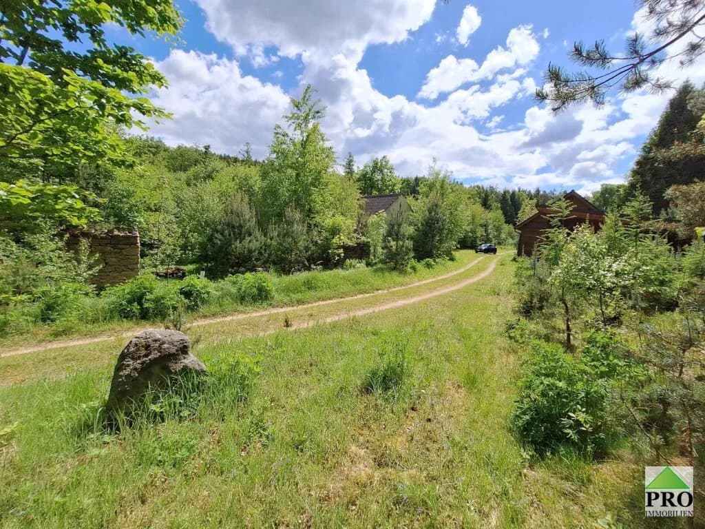 Grundstück kaufen in Gmünd – 251 286 m² – Bild 9 von 12