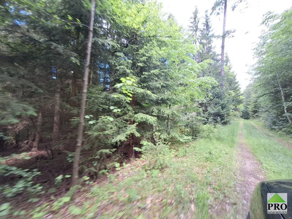 Grundstück kaufen in Gmünd – 251 286 m² – Bild 11 von 12