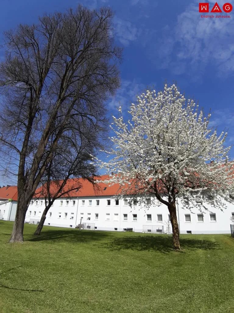 3-Zimmer-Wohnung mieten in Steyr – 55,6 m², € 491