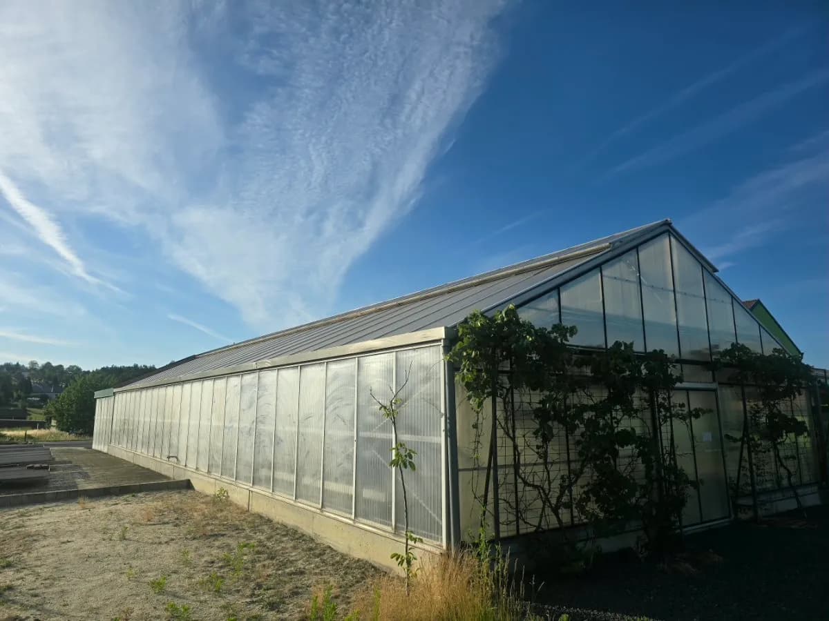 Gewerbeimmobilie mieten in Oberpullendorf – 794 m², € 5.000 – Bild 12 von 19