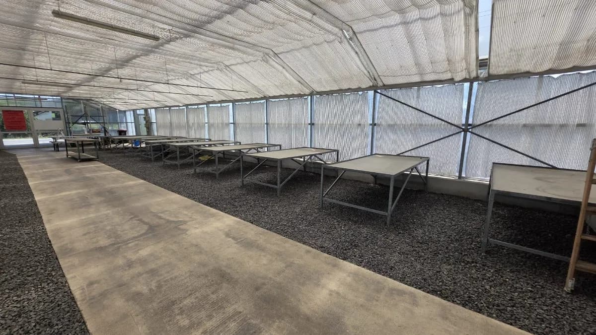Gewerbeimmobilie mieten in Oberpullendorf – 794 m², € 5.000 – Bild 14 von 19