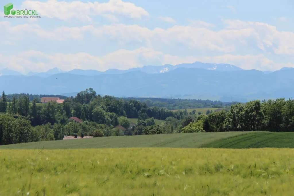 Grundstück kaufen in Linz Land – 700 m² – Bild 6 von 20
