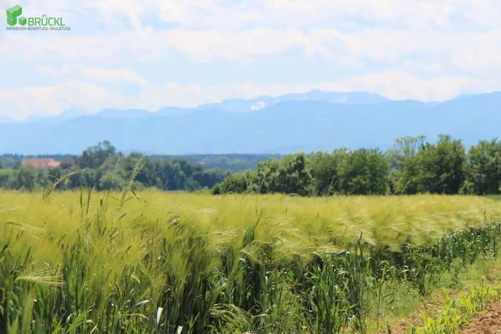 Grundstück kaufen in Linz Land – 700 m² – Bild 7 von 20