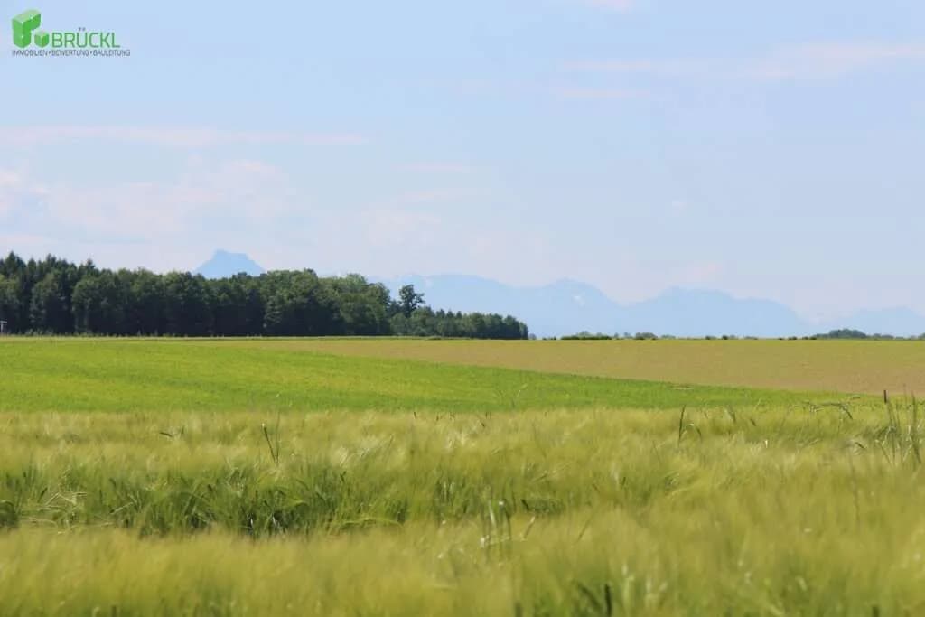 Grundstück kaufen in Linz Land – 700 m² – Bild 9 von 20