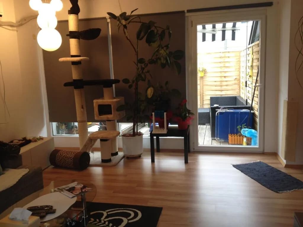 Immobilie kaufen in Bruck-Mürzzuschlag – 190 m², € 475.000 – Bild 3 von 6