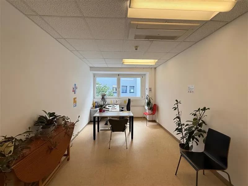 Gewerbeimmobilie mieten in Wien – 555 m², € 7.493 – Bild 3 von 10