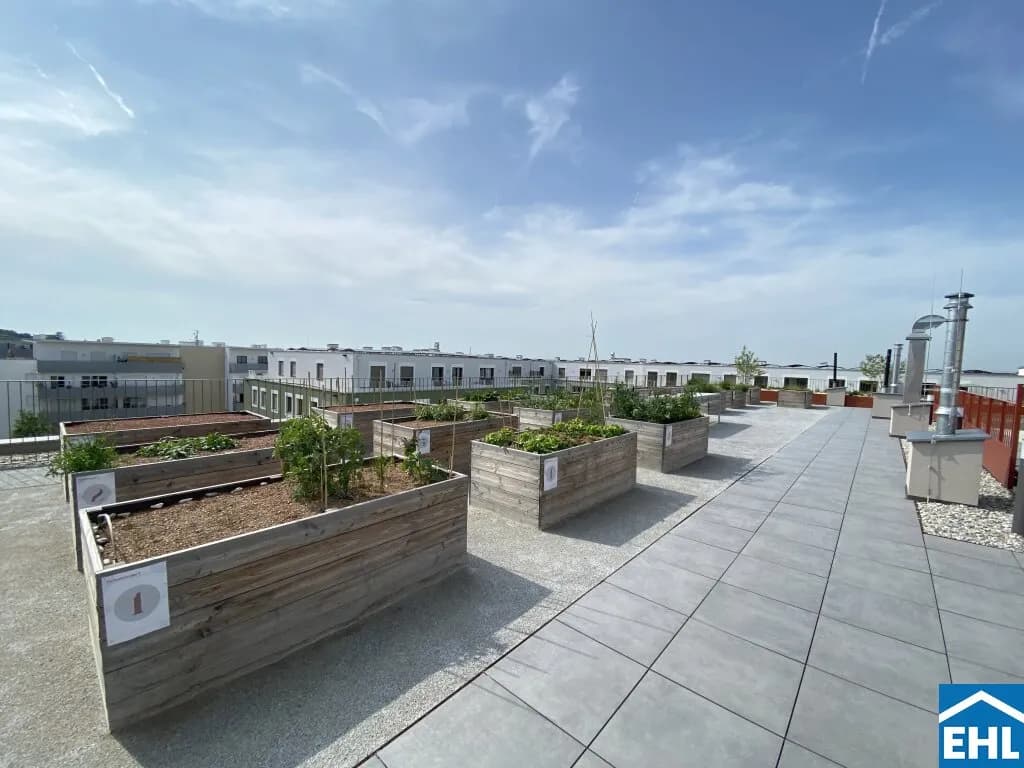 3-Zimmer-Wohnung mieten in Tulln – 69,28 m², € 995 – Bild 17 von 19