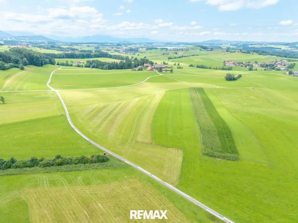 Grundstück kaufen in Salzburg-Umgebung – 14 797 m², € 235.000 – Bild 5 von 7