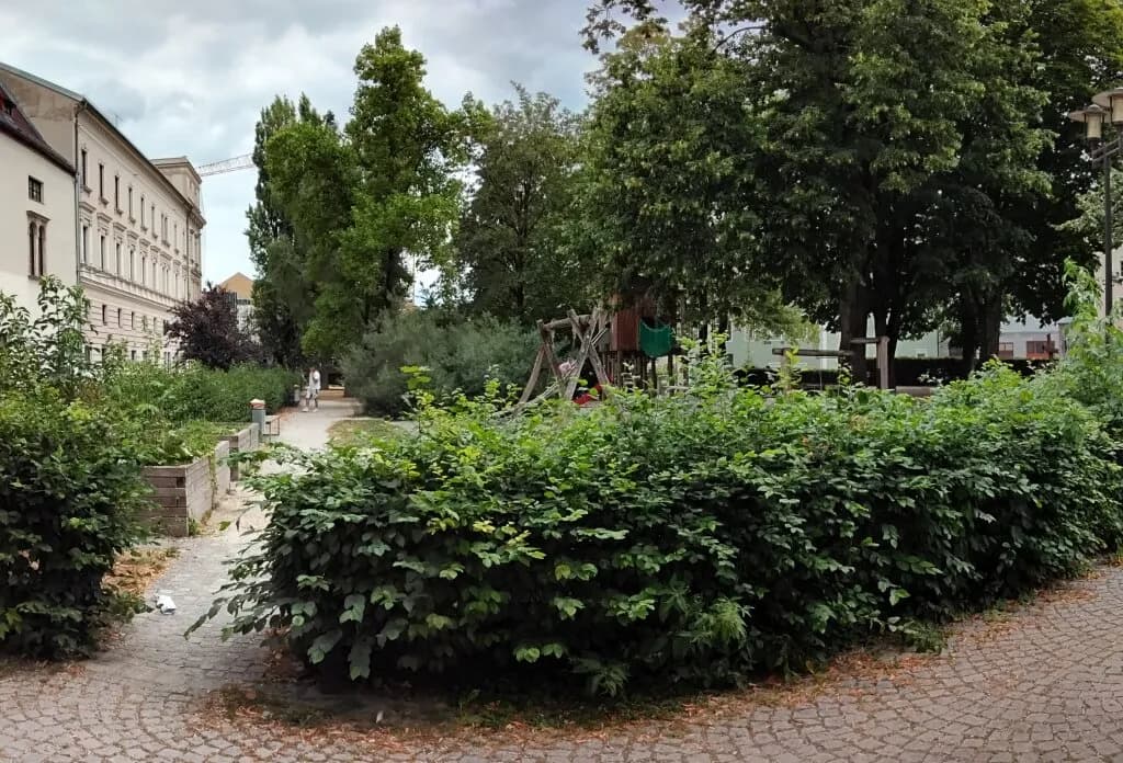 2-Zimmer-Wohnung mieten in Wels – 99 m², € 1.238 – Bild 12 von 13