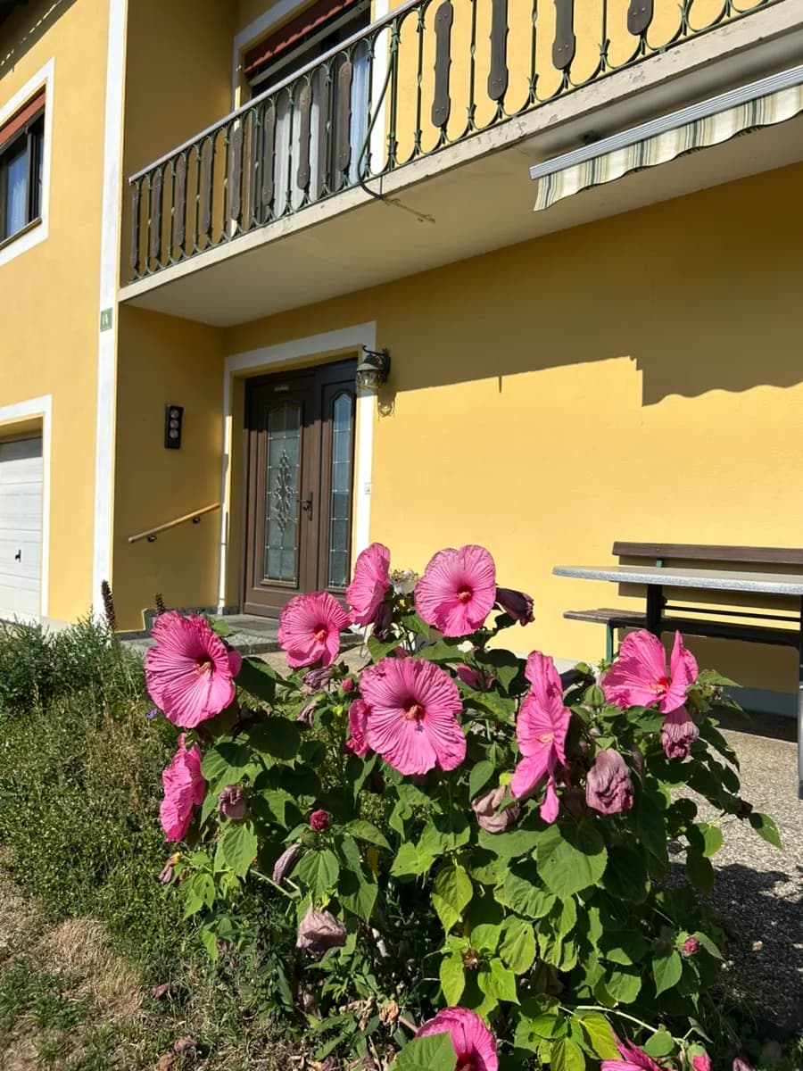 Haus kaufen in Leibnitz – 209 m², € 380.000 – Bild 2 von 33