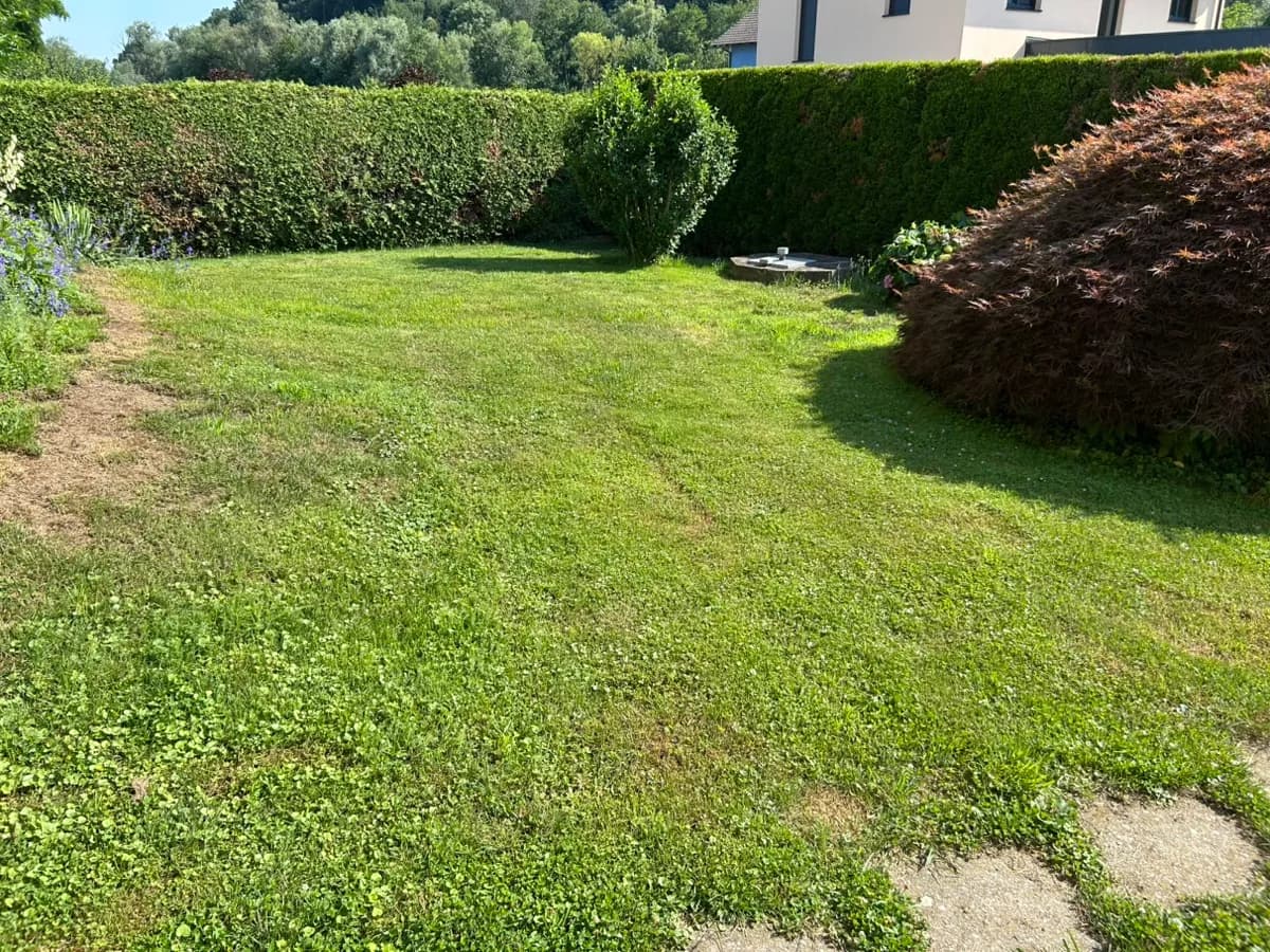 Haus kaufen in Leibnitz – 209 m², € 380.000 – Bild 5 von 33