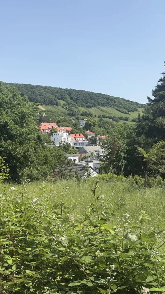Grundstück kaufen in Wien – 913 m², € 585.000 – Bild 4 von 6