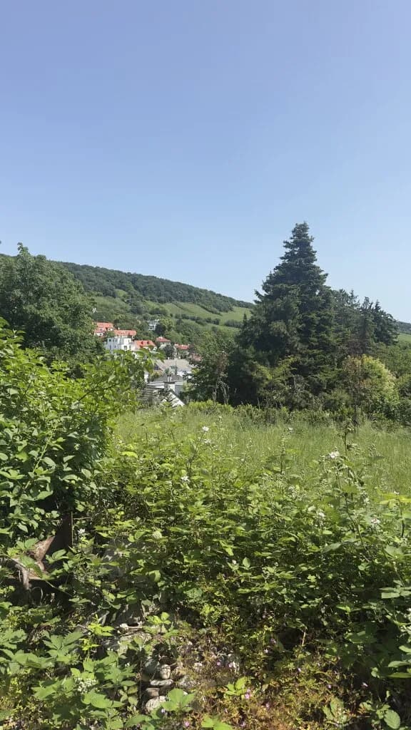Grundstück kaufen in Wien – 913 m², € 585.000 – Bild 5 von 6